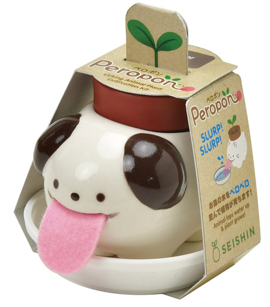 Peropon automatic water-absorbing small potted plant - clover/basil