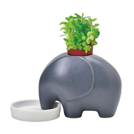 Ceramic baby elephant water-absorbing potted plant