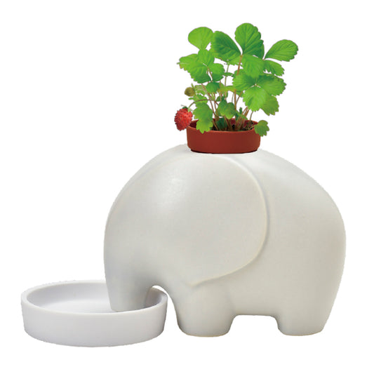 Ceramic baby elephant water-absorbing potted plant