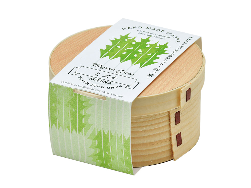 和式Wappa仿便當盒小盆栽