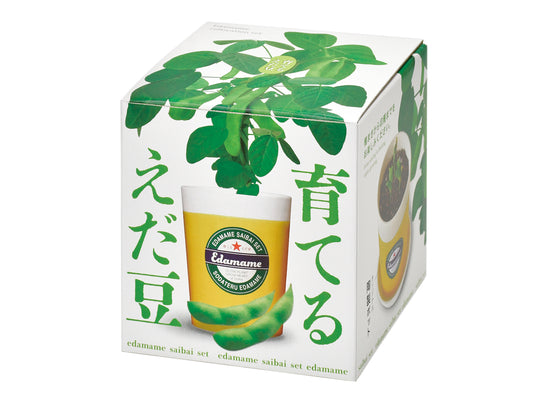 Branch bean cultivation kit Edamame