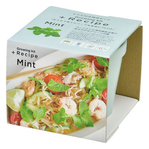 新鮮Recipe 盆栽