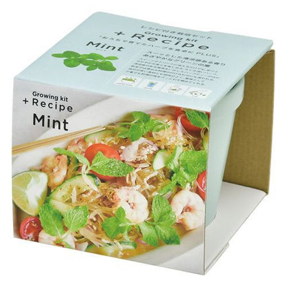 新鮮Recipe 盆栽
