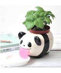 Peroppon PAPA automatic water-absorbing potted plant-basil/wild strawberry/clover