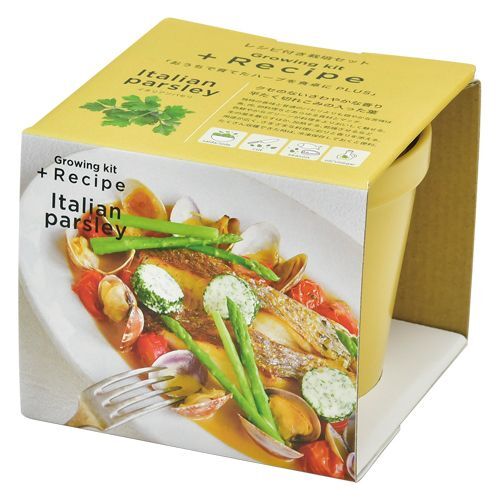 新鮮Recipe 盆栽